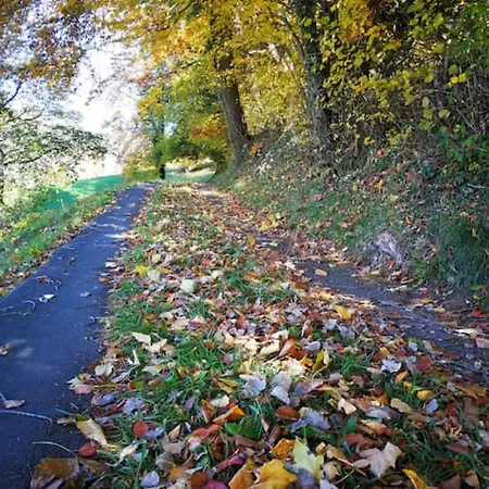 Swisshut Modern 5min West Station - Apart. Rugen 2 Casa de Férias Interlaken