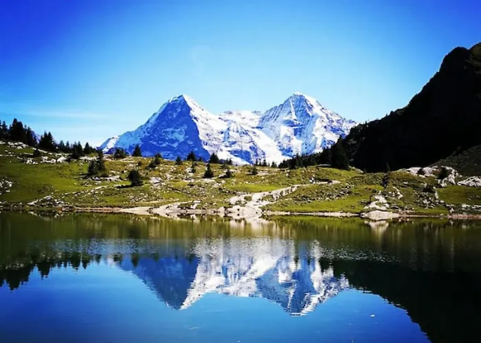 Swisshut Modern 5min West Station - Apart. Rugen 2 Holiday home Interlaken