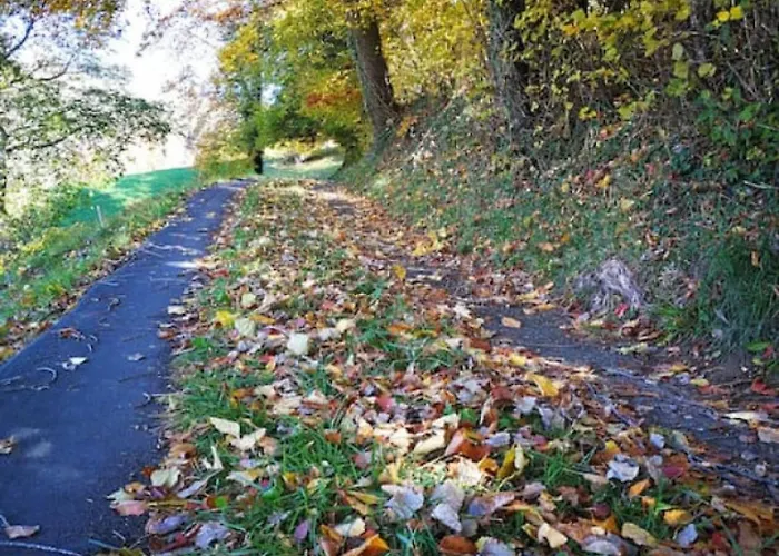 Swisshut Modern 5min West Station - Apart. Rugen 2 Holiday home Interlaken