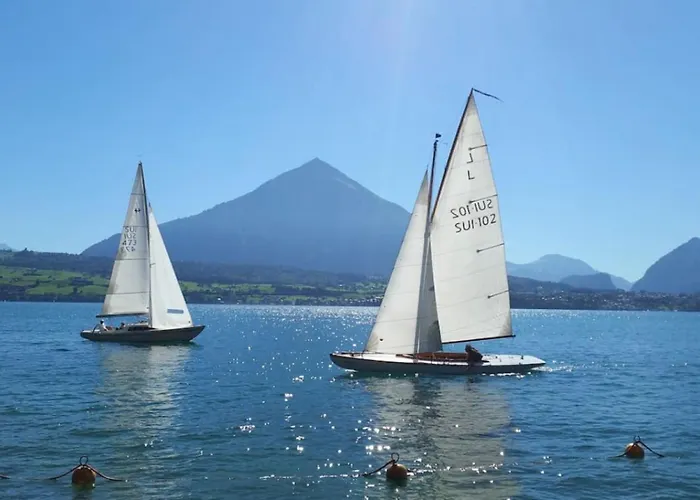 Swisshut Modern 5min West Station - Apart. Rugen 2 因特拉肯