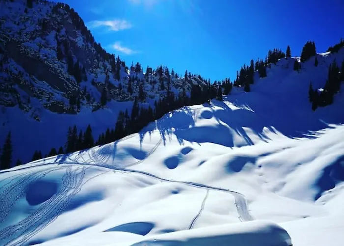 度假居 Swisshut Modern 5min West Station - Apart. Rugen 2